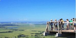 Abertura de Empresas | Contabilidade Digital | Contador | Osório/RS | Assecon