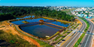 Como Abrir uma Empresa em Sorriso/MT: Seu Guia Completo para Empreender no Coração do Agronegócio Brasileiro