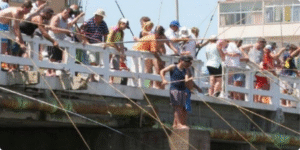 Abrir Empresa no Litoral Norte Gaúcho: Oportunidades de Negócios e Contabilidade Digital