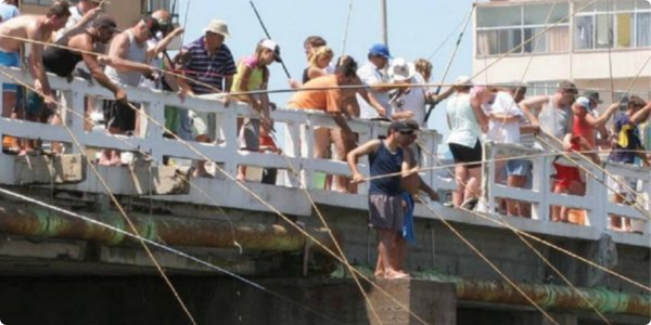 Abrir Empresa no Litoral Norte Gaúcho: Oportunidades de Negócios e Contabilidade Digital
