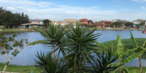 Desbravando o Empreendedorismo em Imbé: Seu Guia Completo para Abrir Empresa e Registrar seu CNPJ com Sucesso