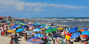 Como Abrir uma Empresa em Tramandaí/RS: Seu Guia Completo para Empreender na Capital das Praias