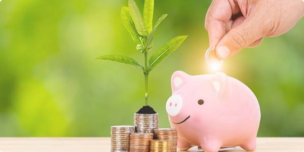 Independência Financeira: O Guia Definitivo para Empreendedores e Pessoas Físicas