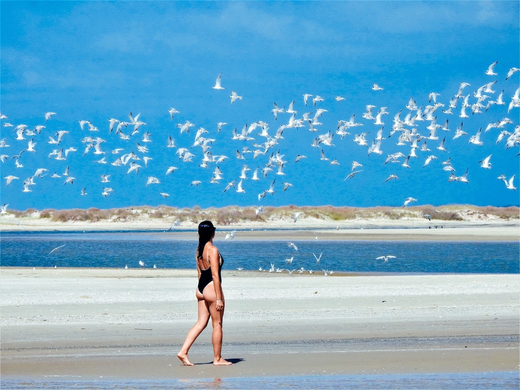 Tavares/RS: O Guia Completo para Empreender no Paraíso das Aves Migratórias